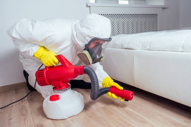 Best Termite Control Services  in Forest Ranch, CA