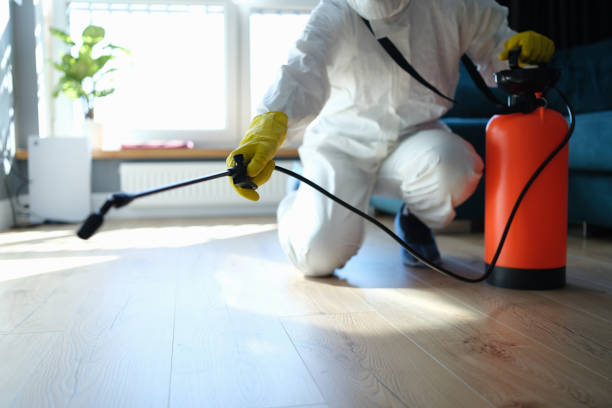 Best Local Pest Control Services  in Forest Ranch, CA
