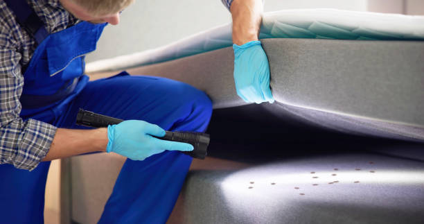 Best Best Pest Control Companies  in Forest Ranch, CA