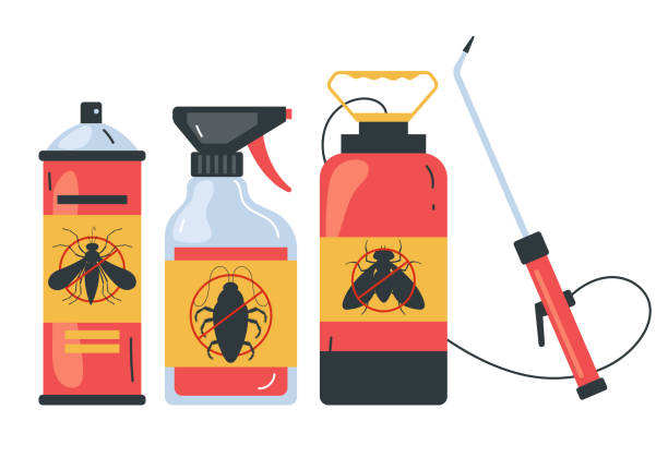 Best Spider Control Near Me  in Forest Ranch, CA
