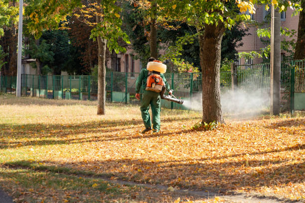 Best Flea Control Services  in Forest Ranch, CA